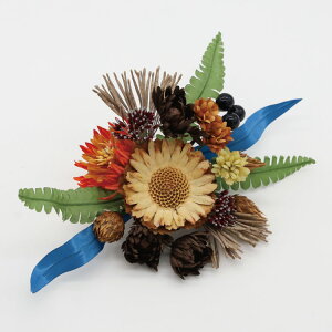  l U    a Ǝ  wAANZT[ nhCh _ m wbhhX EGfBO uC_ p[eB[ dy-208ymz