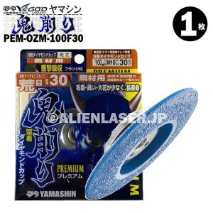 R^ tWt  P r[h S PEM-OZM-100F30 Oa100mmlWaM10