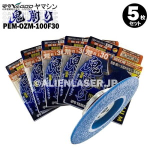 5Zbg R^ tWt  P r[h S PEM-OZM-100F30 Oa100mmlWaM10