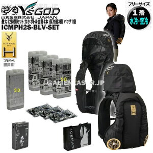 �ő�12���ԃZ�b�g ICMPH2S-BLV-SET �ʗ�p �A�C�X�}�� �n�C�u���b�h�v��2�召�{�g�����v4�{ �ۗ��3�� �A�C�X�}���o�b�O1�� �R�^ ���C�Y�S�b�h