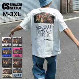 Tシャツ メンズ 大きいサイズ Tシャツ メンズ 果物 ビッグプリント Tシャツ オシャレ メンズ ヴィジュアル系 ファッション オーバーシルエット ビッグTシャツ ストリート系 原宿系 ビター系 韓国 トップス M L XL 2XL 3XL 2L 3L 4L
