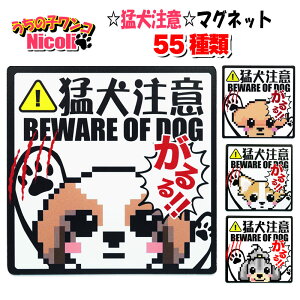 hbO XebJ[ V[  Ҍ  Ԍ }Olbg  R ` _bNX gCv[h V[Y[ pO R ` v[h pO _bNX }`[Y |jA V