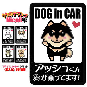 Ă܂  DOG IN CAR hbOCJ[ V[ 킢   O }Olbg J[XebJ[  ` _bNX gCv[h V[Y[ pO ` v[h pO _b