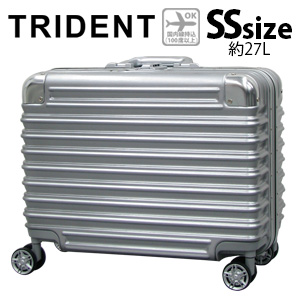 楽天市場】スーツケース 機内持ち込み可 SSサイズ 小型 45cm 27Lリアル 