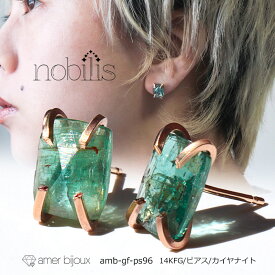 グリーンカイヤナイト / 天然石 ピアス 緑 ブルーグリーン / 両耳 スタッドピアス / 14KGF ゴールドフィルド / ペア / キレイ / amb-gf-ps96-kya / AmerBijoux/ nobilis