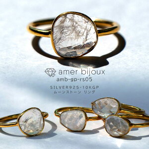 yOUTLETz[Xg[ VR w O / Vo[925 10KbL /  /  NA  / u₩ t  킢 v[g d˕t S[h / amb-gp-rs05 / AmerBijoux/ nobilis