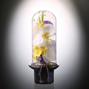 50̂ Ε uv}@KXh[̋ԁ@ӒiԁjvԂ j j j j oY   C  TԂ Vz ~Mtg Zbg