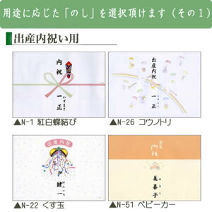 5と0のつく日 「NOLTYエクセルマンスリー」お返し 内祝い 内祝 お祝い 祝い 出産 結婚 仏事 快気 お見舞い 香典返し 新築 ギフト セットCID5