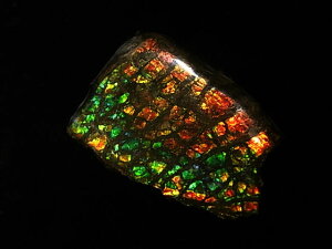 yzACg jЁE(jH Ji_ Ao[^B XubWY AiCg  A ΃ACg s yh鑾Â̔z ɂĂ 