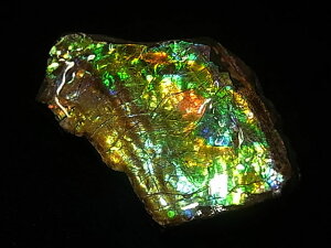 yzACg jЁE(jH Ji_ Ao[^B XubWY AiCg  A ΃ACg s yh鑾Â̔z ɂĂ 