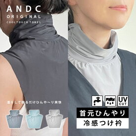 【接触冷感】冷感 つけ襟 付け襟 ハイネック 夏用 スタンドカラー レディース UVカット 紫外線対策 重ね着 レイヤード 首元目隠し シアー おしゃれ かわいい 夏 涼しい