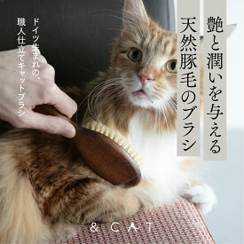 【天然豚毛のドイツ製キャットブラシ】 Redecker レデッカー 高級天然木 グルーミング 猫用ブラシ 天然素材 おしゃれ 高級雑貨 ナチュラル ペット用 くし クシ ペット用品 ブナ 猫 ネコ 猫用 キャット 天然木 お洒落 職人 ギフト プレゼント
