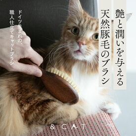 【天然豚毛のドイツ製キャットブラシ】 Redecker レデッカー 高級天然木 グルーミング 猫用ブラシ 天然素材 おしゃれ 高級雑貨 ナチュラル ペット用 くし クシ ペット用品 ブナ 猫 ネコ 猫用 キャット 天然木 お洒落 職人 ギフト プレゼント