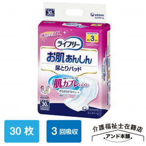 Ct[ 񂵂AƂpbh 30×1܁i30j jE`[ AƂpbh 񂵂 j`[ 3 ނ  AƂ lp Ct| l̂ނ l̃Ic