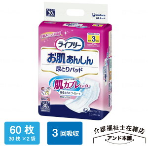 Ct[ 񂵂AƂpbh 30×2܁i60j jE`[ AƂpbh 񂵂 j`[ 3 ނ  AƂ lp Ct| l̂ނ l̃Ic