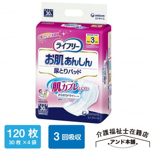 Ct[ 񂵂AƂpbh 30×4܁i120j jE`[ AƂpbh 񂵂 j`[ 3 ނ  AƂ lp Ct| l̂ނ l̃I