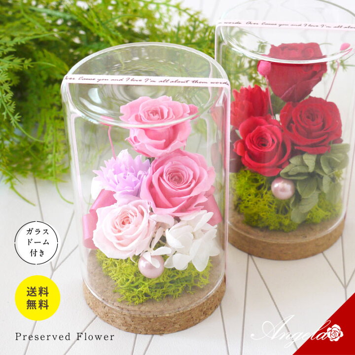 楽天市場】プリザーブドフラワー 即日発送 プリザ 母の日 プレゼント  