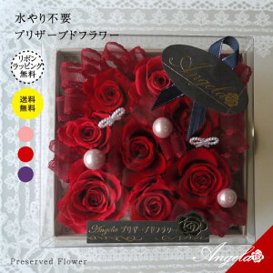 vU[uht[  vU ̓ hV̓ {bNX v[g ͂Ȃ  JXj JƏj J@j ސEj Vzj 蕨 j a җj     ʕi a@ 