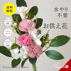 vU[uht[     vU[ht[  䕧OAW @ dp  ԃMtg  ̉ ~j _ ފ d  AW