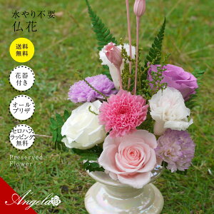 vU[uht[   KXh[ ~   vU[ht[  䕧OAW @ dp  ԃMtg ̉ ~j _ ފ d  