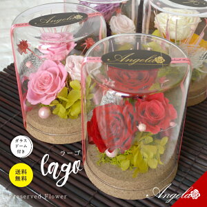 vU[uht[  ̓ hV̓ v[g i` Rf vU[uht[ KX h[ ͂Ȃ  Mtg JXj J Vzj 蕨 j a 