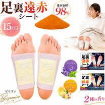 楽天市場】レミントン ビサ入り足うらシートの通販