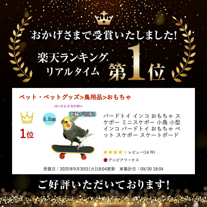 楽天市場】【大感謝祭期間全品ポイント5倍！】バードトイ インコ