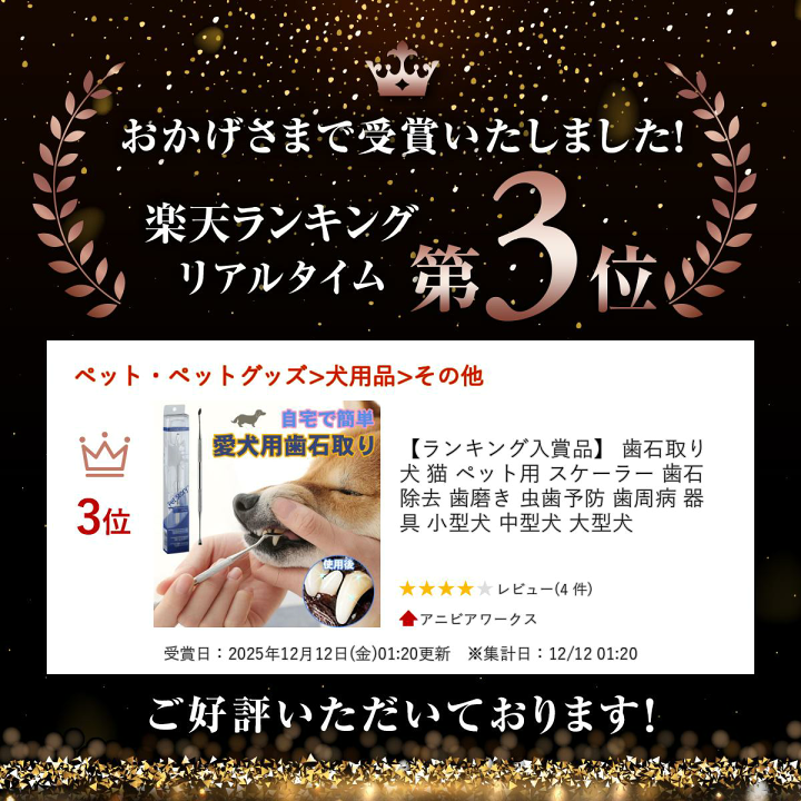 ペット用歯石取りペンチ 約15cm と　スケーラー ペット用歯石取りペンチ 約15cm と スケーラー 歯石 取り スケーラー