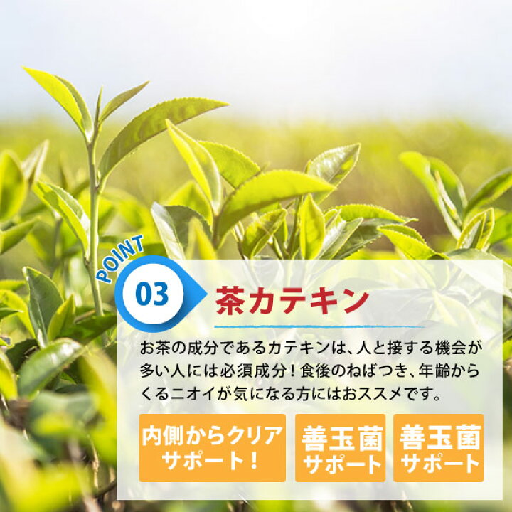 楽天市場】エチケットサプリ+ロイテリ菌&竹炭 2個セット 口臭 予防シャンピニオンエキス配合 プロポリス デオアタック メール便送料無料 年齢 エチケット対策 トータルエチケットサプリ ラクトフェリン 緑茶 ssサーチ : Relief Life〜リリーフライフ〜 楽天市場】エチケットサプリ+ロイテリ菌&竹炭 2個セット 口臭 予防シャンピニオンエキス配合 プロポリス デオアタック メール便送料無料 年齢 エチケット対策 トータルエチケットサプリ ラクトフェリン 緑茶 ssサーチ : Relief Life〜リリーフライフ〜