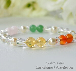 ~bNXuX286 kJ[lAEAx`EsNJTCgE llR|XOK i 1_ p[Xg[ VR v[g ANZT[ r J^ a u