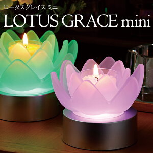 y~jTCYz̐Eu[^XOCX ~jv1 LEDR[X^[ZbgmLOTUS GRACE mininLh [^X @ led  Lh 䋟  XC p V~ ~ ~