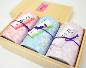 yRpNgTCY̌izy24-11z쐰 VEԂ̗ ~jA\|g3{˔ypzyzy~zyrzy݁zyr͂͂zy䒆z