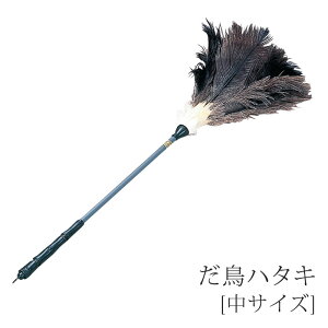 _`En^L[TCY]yizypizy͂zy|ObYzy傤zydzyzyzy|zypizy|z