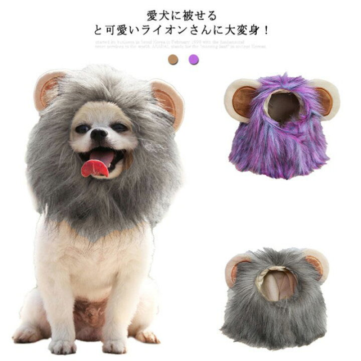 楽天市場 犬 帽子 ウィッグ ライオン たてがみ ペット 帽子 猫 ねこ 小型犬 中型犬 耳付き 帽子 被り物 イヌ いぬ 犬の帽子 ペット服 コスチューム コスプレ 仮装 キャットウエア ドッグウエア ハロウイン パーティー 着ぐるみ クリスマス Any Kids Kind