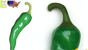 AJG݁@BIG SALES PROMOTION DOLL@gEKV`@CHILI GREEN@u@IuWF@^i@l`@AJG݁@AJ@USA@@hfJ̃h[ŃACLb` ڗȂR
