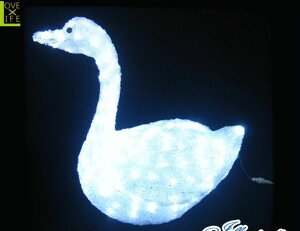 yC~l[VzLED NX^ yXzyzyAj}zyzyuzy3DzyzyzyA[gzyPzydzy`[tzyNX}XzyNX^z