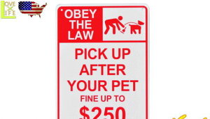 yAJG݁zvX`bN TC{[hyCA-61zyn悤zyG݁zyAJG݁zyŔzy{[hzyBARzyCeAzyAJzyUSAzyz