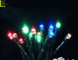 yC~l[VzLED@pCgyO[R[hzy50zy4F~bNXzyLEDCgzy^C}[tzyXg[gzydzyzyNX}XzyC~zyCgz