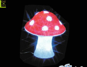 yC~l[VzLmRybhzŷzy؁zyNX^zýzyzyAj}zyO[zyLEDzyNX}Xzydzy`[tzy[{gz