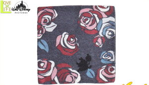 yfBYj[vZXzNbVJo[yJzyAXzyӂ̍̃AXzyfBYj[zyDisneyzyNbVzyAjzyJo[zyfz