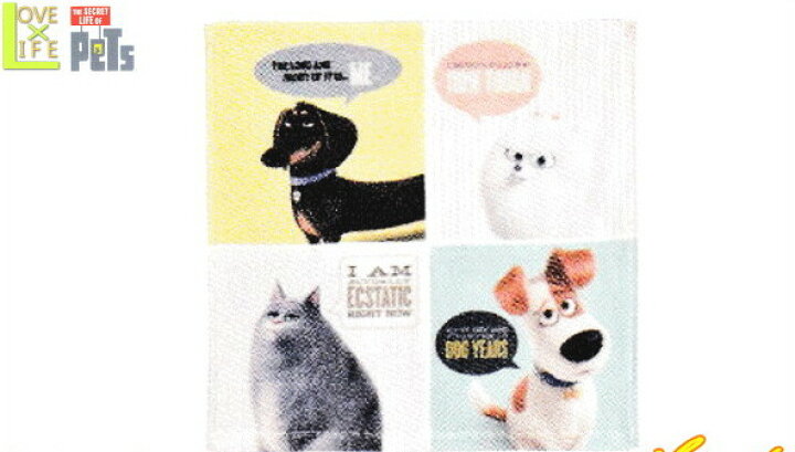 楽天市場 ペット Pets ウォッシュタオル カラフルペット グッズ ドッグ キャラ 映画 ユニバ アニメ タオル たおる かわいい ａｏｉデパート