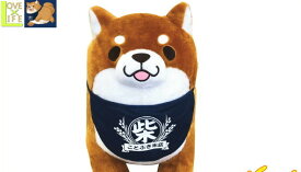 楽天市場 忠犬もちしば クッション 座布団 インテリア 寝具 収納 の通販