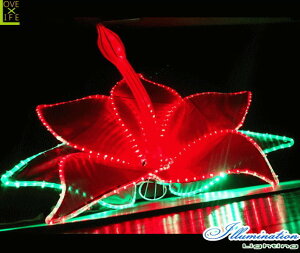 C~l[V@nCrXJXt[@썑@ԁ@Ԕ@͂ȁ@@nC@O@@LED@NX}X@d@`[t@IuWF