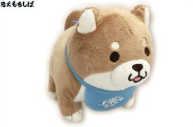 楽天市場 もちしばの通販