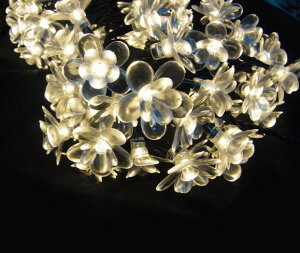 yLEDzyCgzt[XgOCgy100zyt[zyԁzyԁzyzytbVzyMzyzydCHƎҗpizydCHzylCzyC~l[V