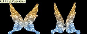 LED@C~l[V@^i@LEDNX^ _uJ[ o^tC@X@@fUC@u@AQn@@d@`[t@NX}X@NX^@N킢C