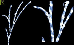 yLEDzyC~l[Vzy^izLEDNX^ u`y}zyc[zy؁zy؍ށzyRzy}zyEbhzyA[gzyPzydzy`[tzyNX}XzyN