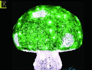 y20 zNX^ LmR O[yLTCYzyLEDzŷzy؁zybzN̐VLmRV[YIJ[fUCLxły2013NVzyzylCzyC~