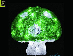 y20 zNX^ LmR O[yMTCYzyLEDzŷzy؁zybzN̐VLmRV[YIJ[fUCLxły2013NVzyzylCzyC~