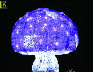 y20 zNX^ LmR p[vyLTCYzyLEDzŷzy؁zybzN̐VLmRV[YIJ[fUCLxły2013NVzyzylCzyC~